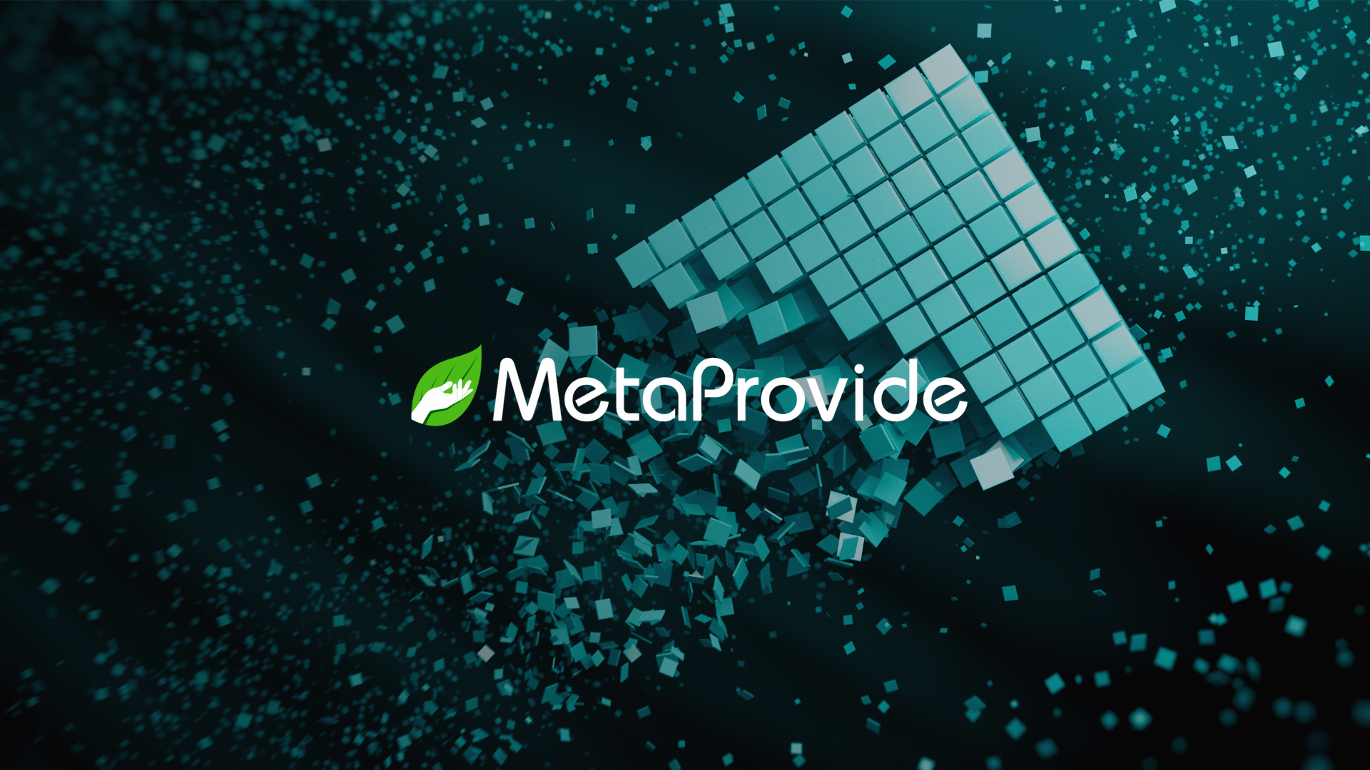 Introduction image of blog post with MetaProvide logo